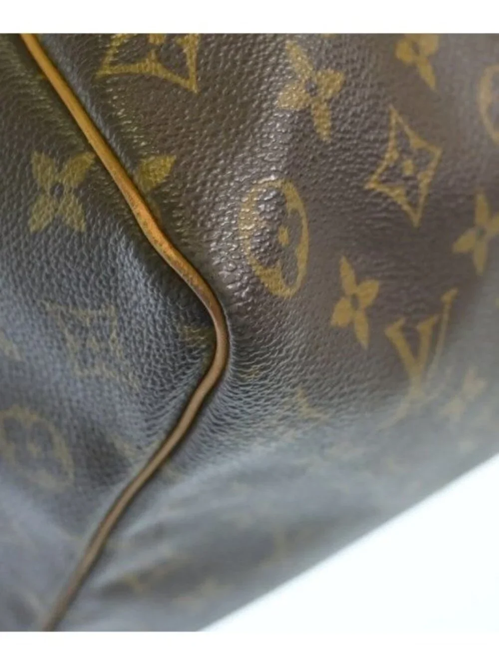 Louis Vuitton Boston Bag